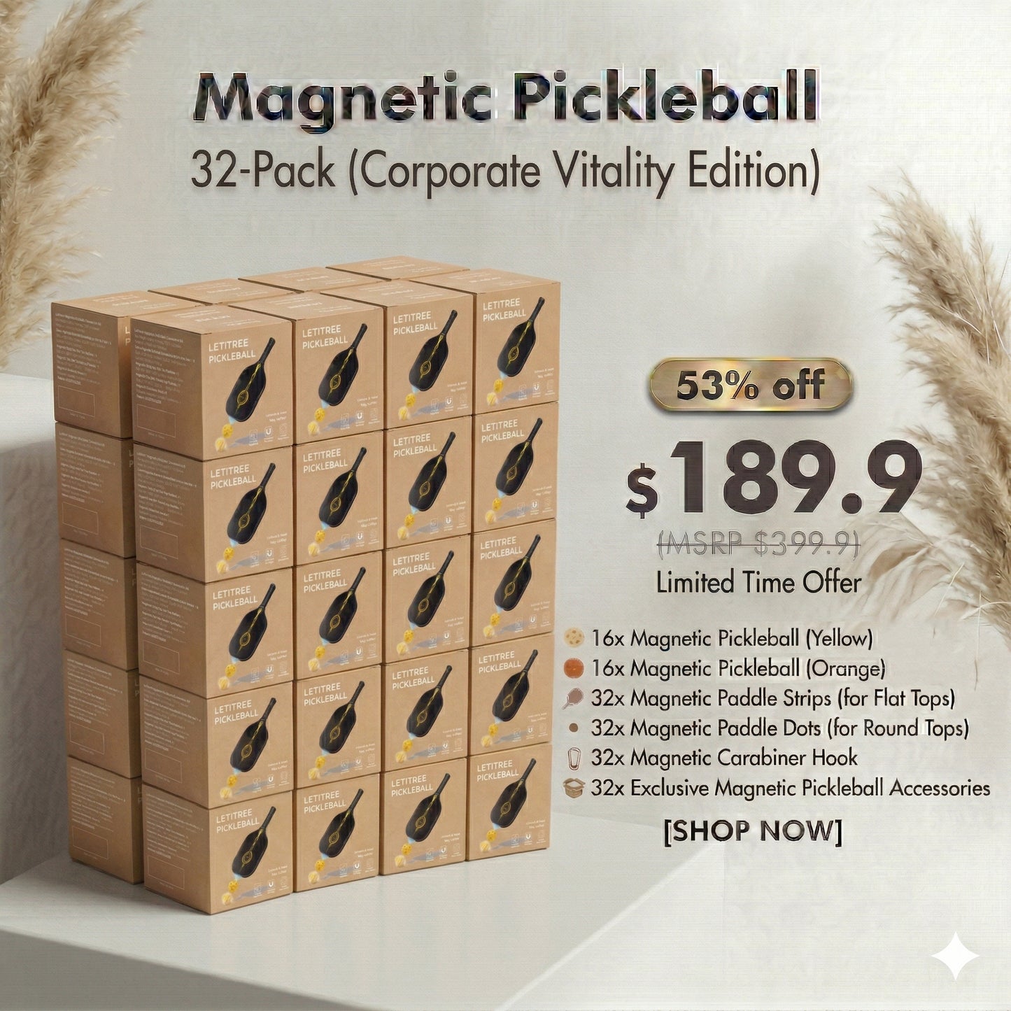 Play Longer, Bend Less! ILETITREE Magnetic Pickleball Conversion Kit 4-in-1|No-Bend Pickup · Swing Weight Tuning · Fence Storage · DIY Charms|Lazy Tool, Court Prank, Viral Video, Birthday Gift